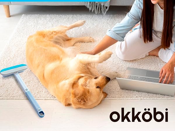 pet hair removal tool remover for furniture couch carpet animal fur reusable rake dog scraper rug