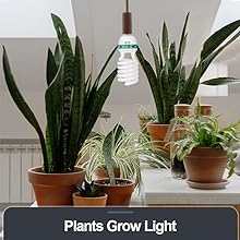 plant grow light
