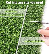 GRASS