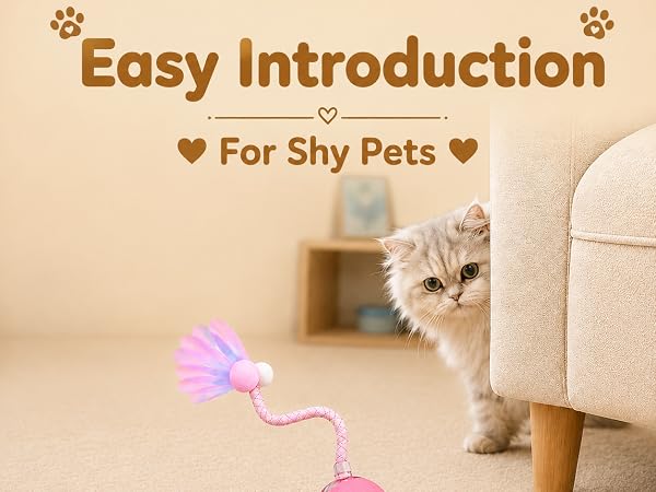 Easy Introduction for shy pets cats or puppies