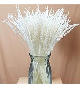 Iory White 180+Stems Dried Lavender Flowers Bundle-15''-17''Real Bleaching Cream White Lavender B...