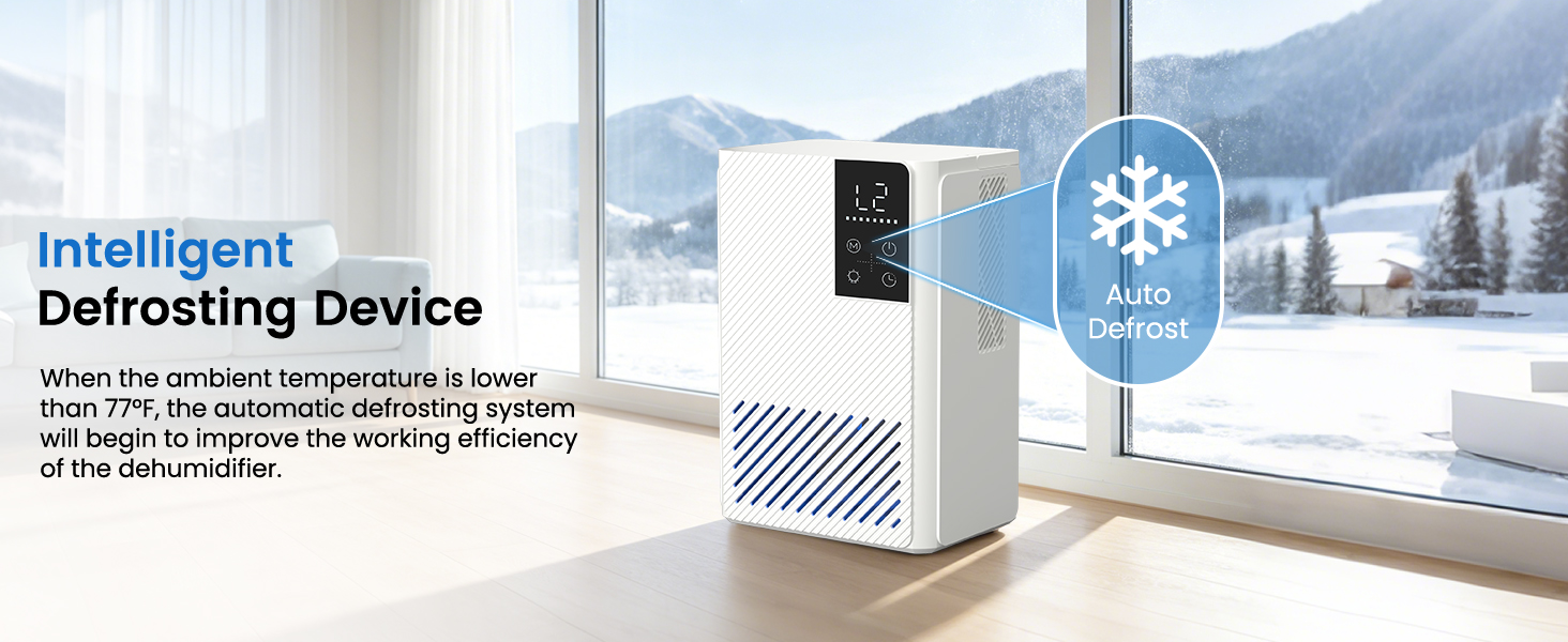 dehumidifiers for home