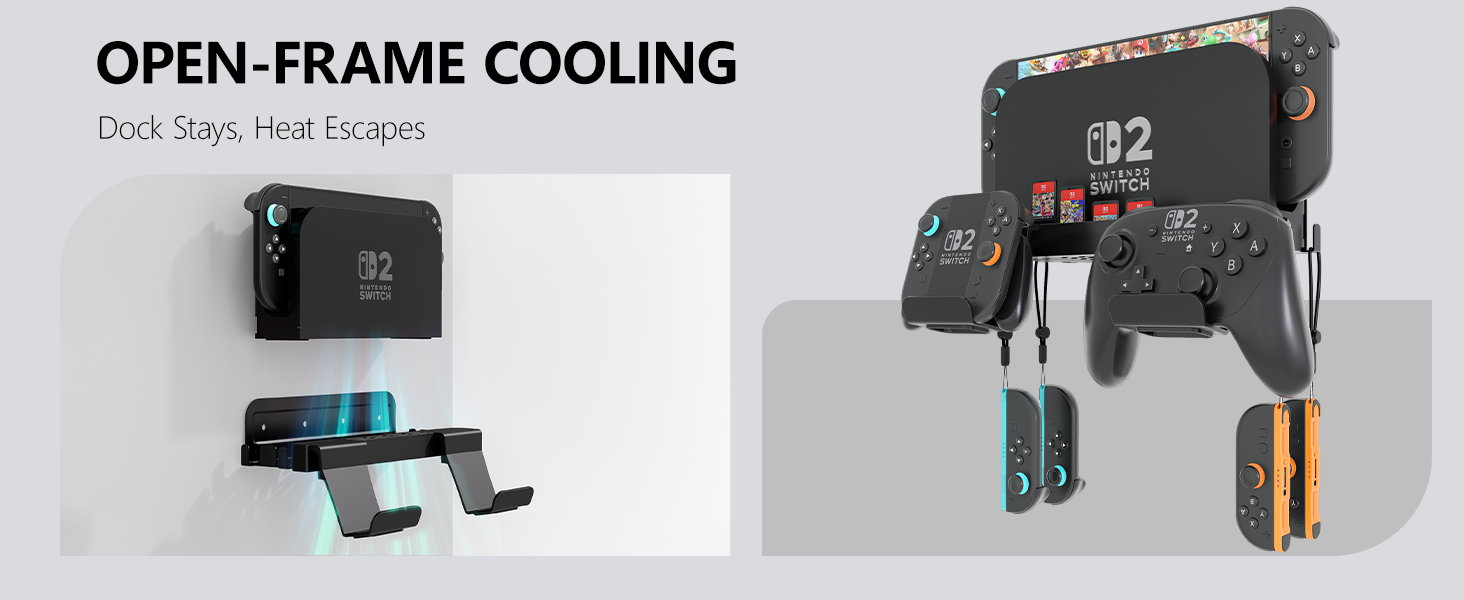 Switch 2 Wall Mount