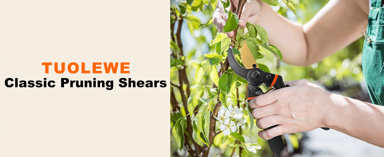 Pruning shears