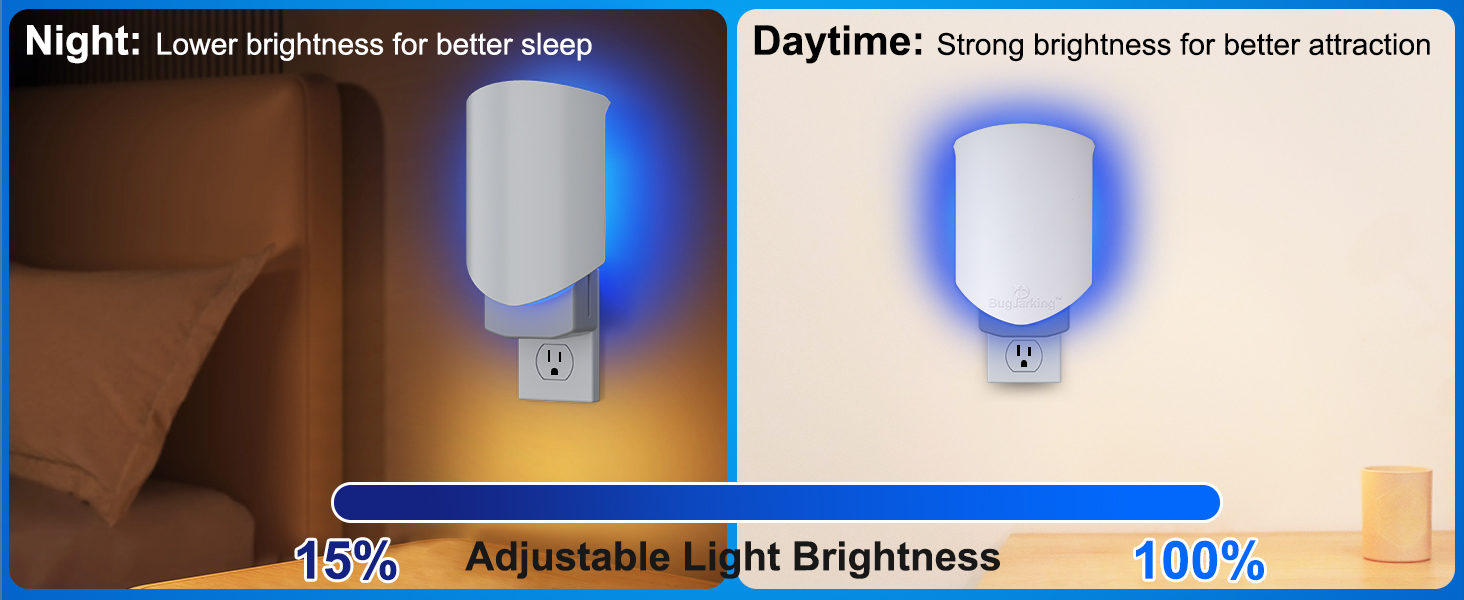 gnat traps for house