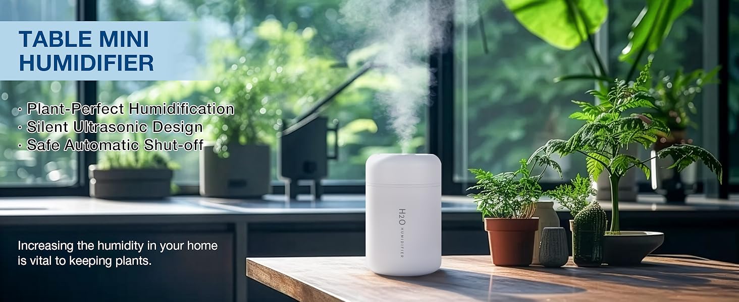 Small Humidifiers for Plants