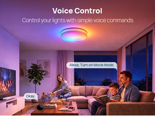 smart ceiling light