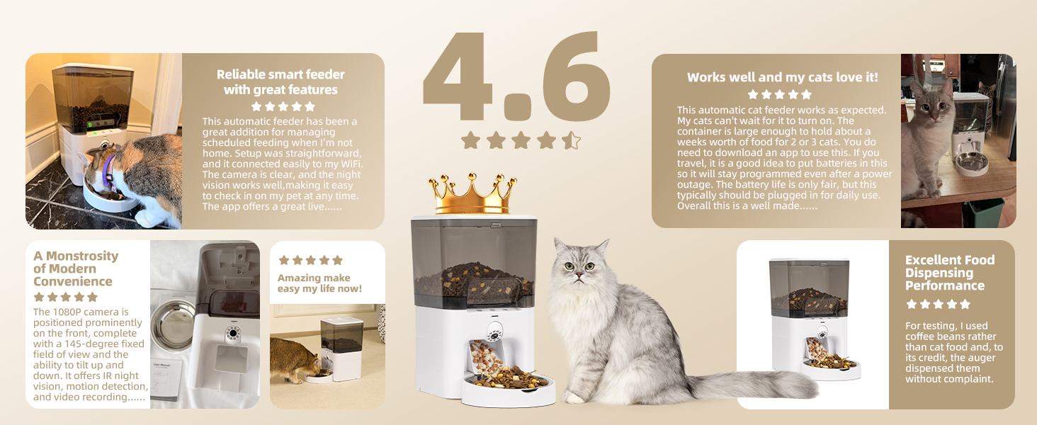 automatic cat feeder