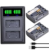 Pickle Power 2Pcs NB-2L NB-2LH Battery and LED Dua Charger for Digital Rebel XT XTi PowerShot G7 ...