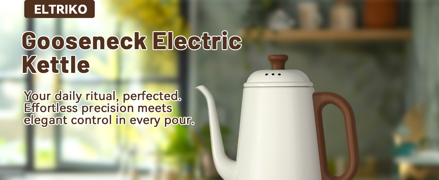 kettle electric stainless steel