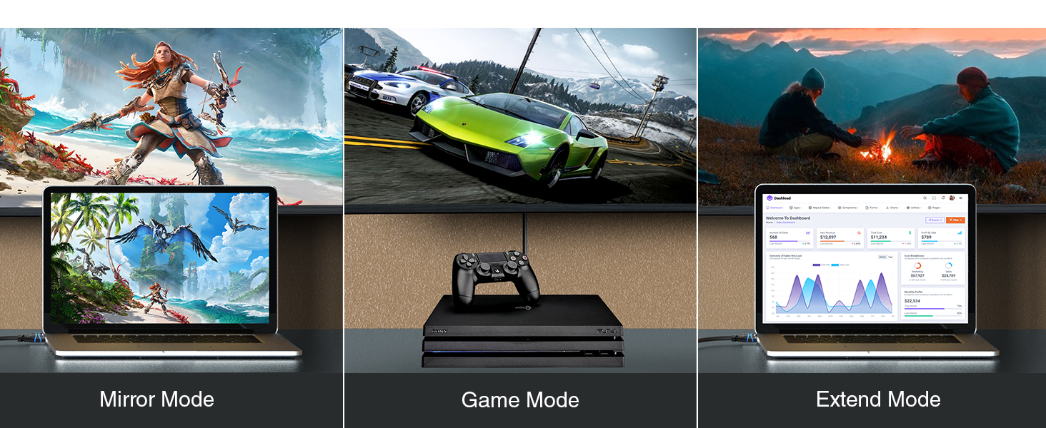 BLUERIGGER excellent quality supported mirror mode extend mode gaming mode smooth no lag video wii