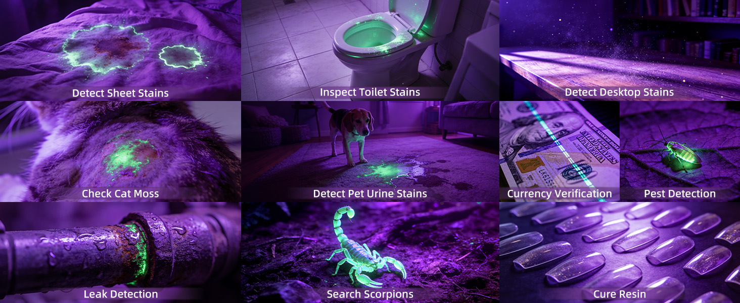 uv flashlight&amp;#39;s using