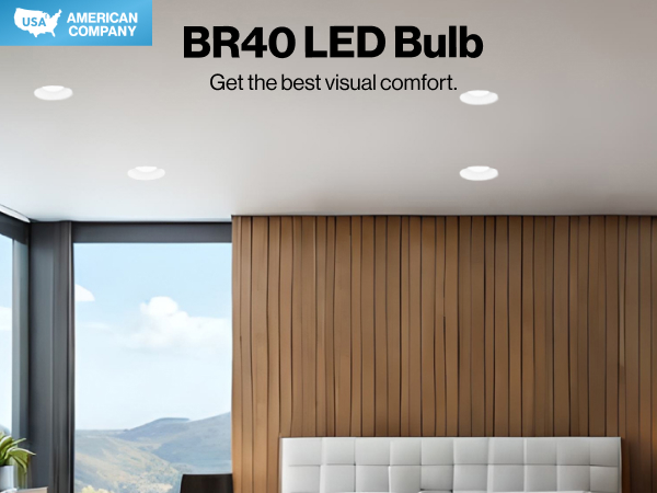 BR40 17 Watts LED Bulb