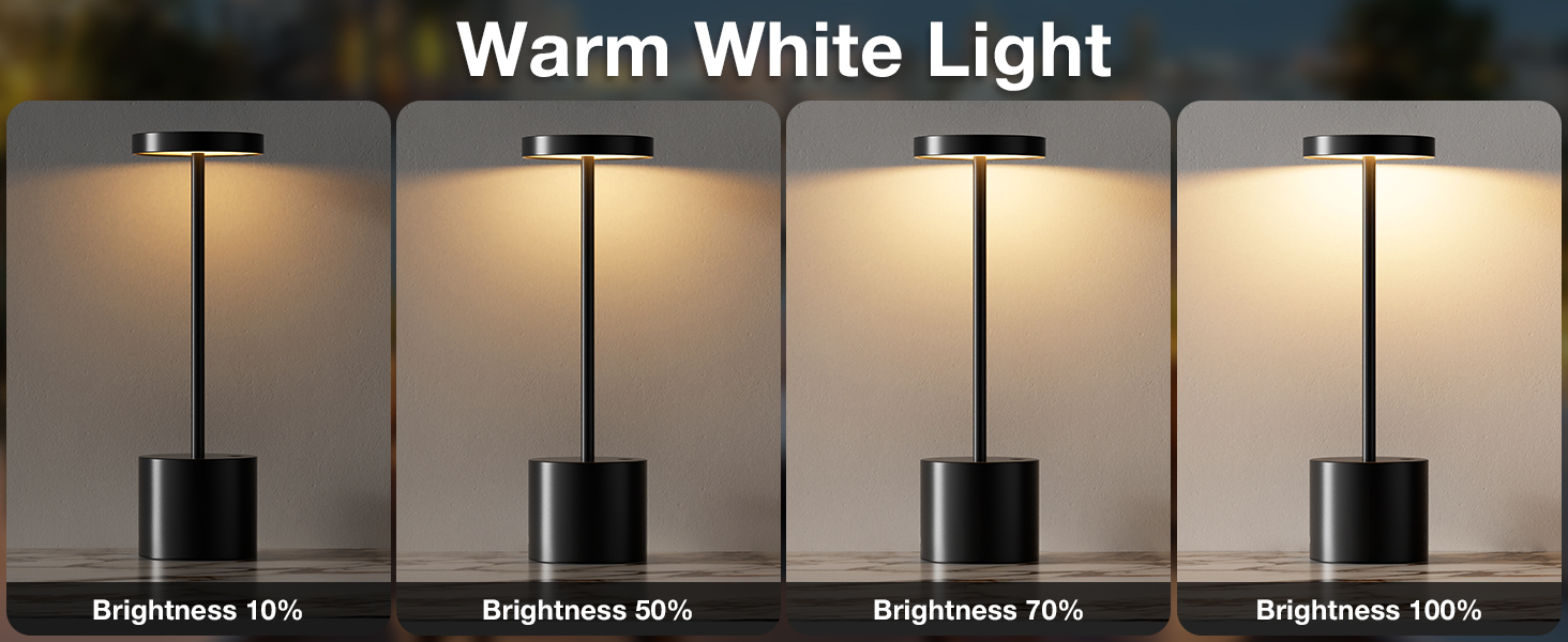 Rechargeable Desk Lamps