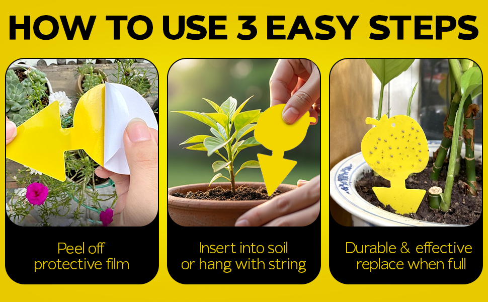 Gnat traps Fungus gnat traps Sticky traps for gnats Gnat sticky traps for plants