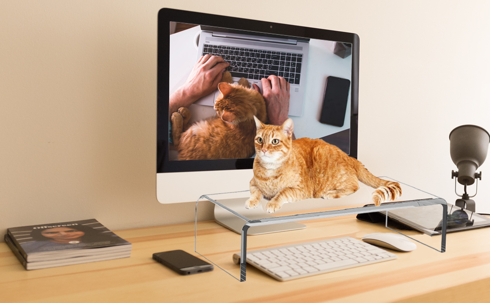 Monitor Stand
