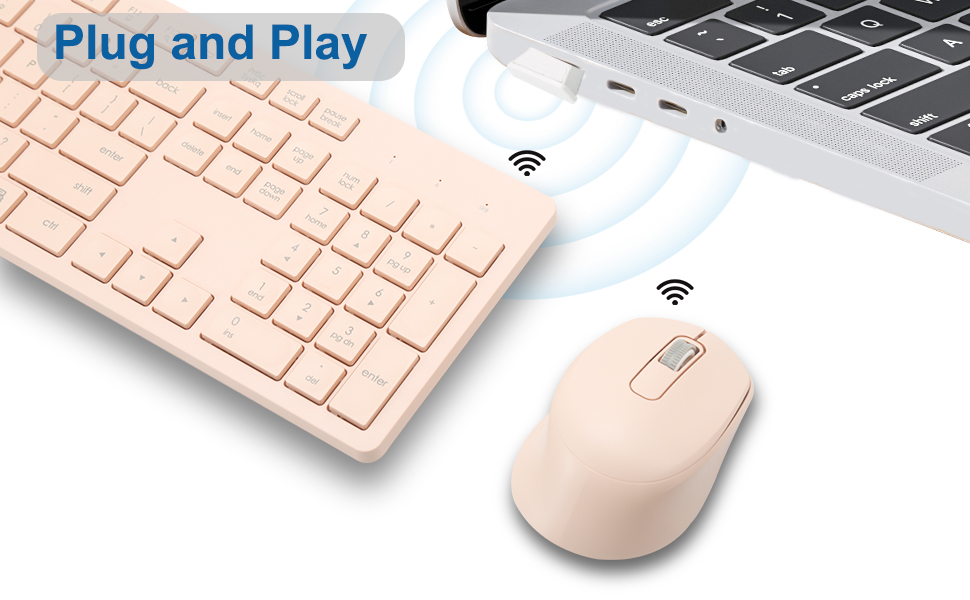 plug and play