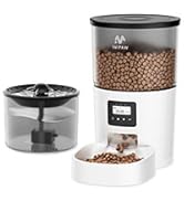 Cat Feeder and Water Fountain