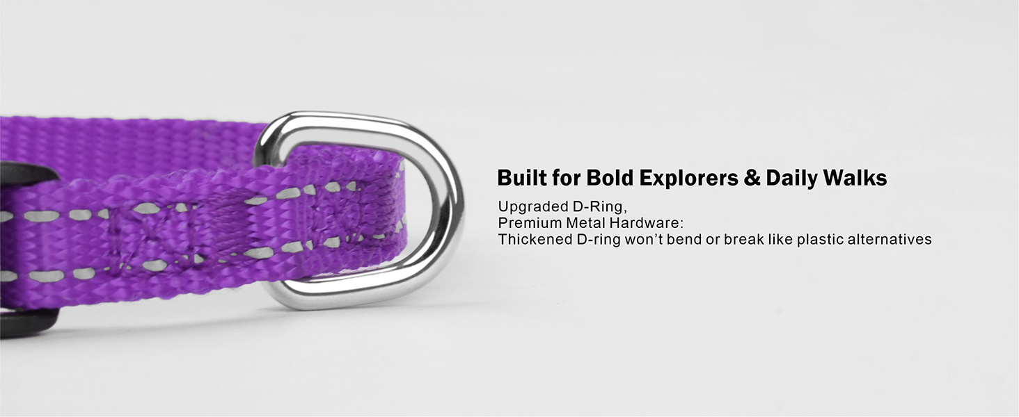 Upgraded D-Ring