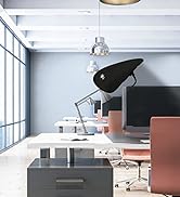 Office Desk Shade and Cubicle Shade: Blocks Light, Glare, and Disturbances. Professional, Adjusta...