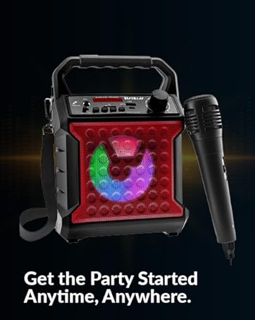 Portable speaker with microphone