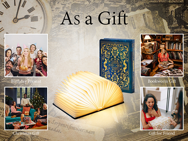 Gifts for Book Lovers