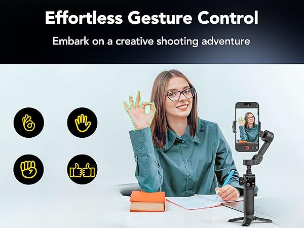 Gesture Control