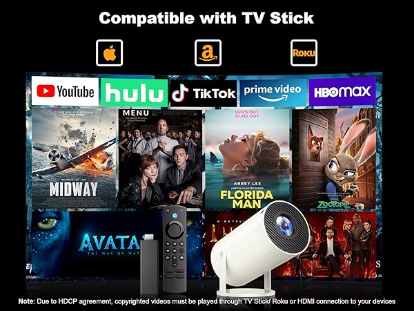 Compatible with TV Stick