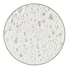 Natural Kitchen Sponge