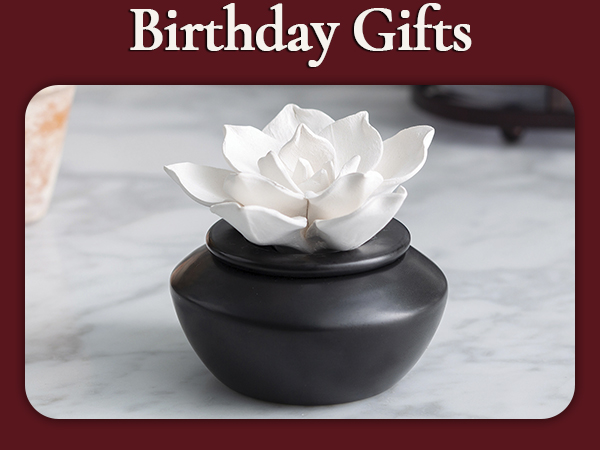 Candle Warmers Airome Essential Oil diffuser flame-free safe alternative wax melts