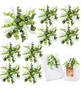 TONIFUL Moss/Sage/Light Green Curly Bows 5 Inch x 8 Counts Curly Ribbon Gift Bows for Gift Wrappi...