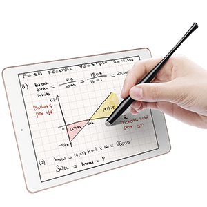 iPad stylus