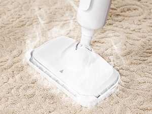 steam mop