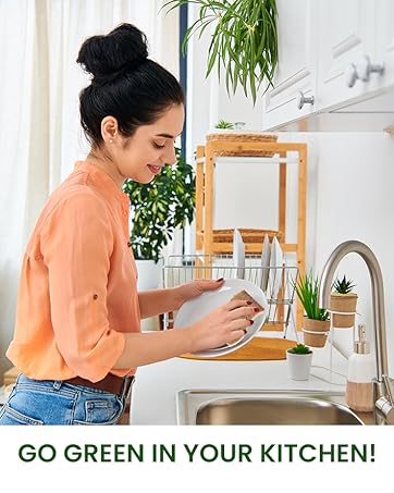 Dish Washing Scrubbers