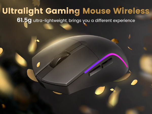 Wireless Gaming Mouse