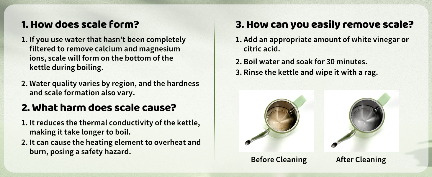 gooseneck spout electric tea kettle