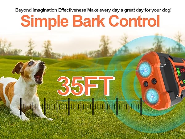 digging deterrent for dogs