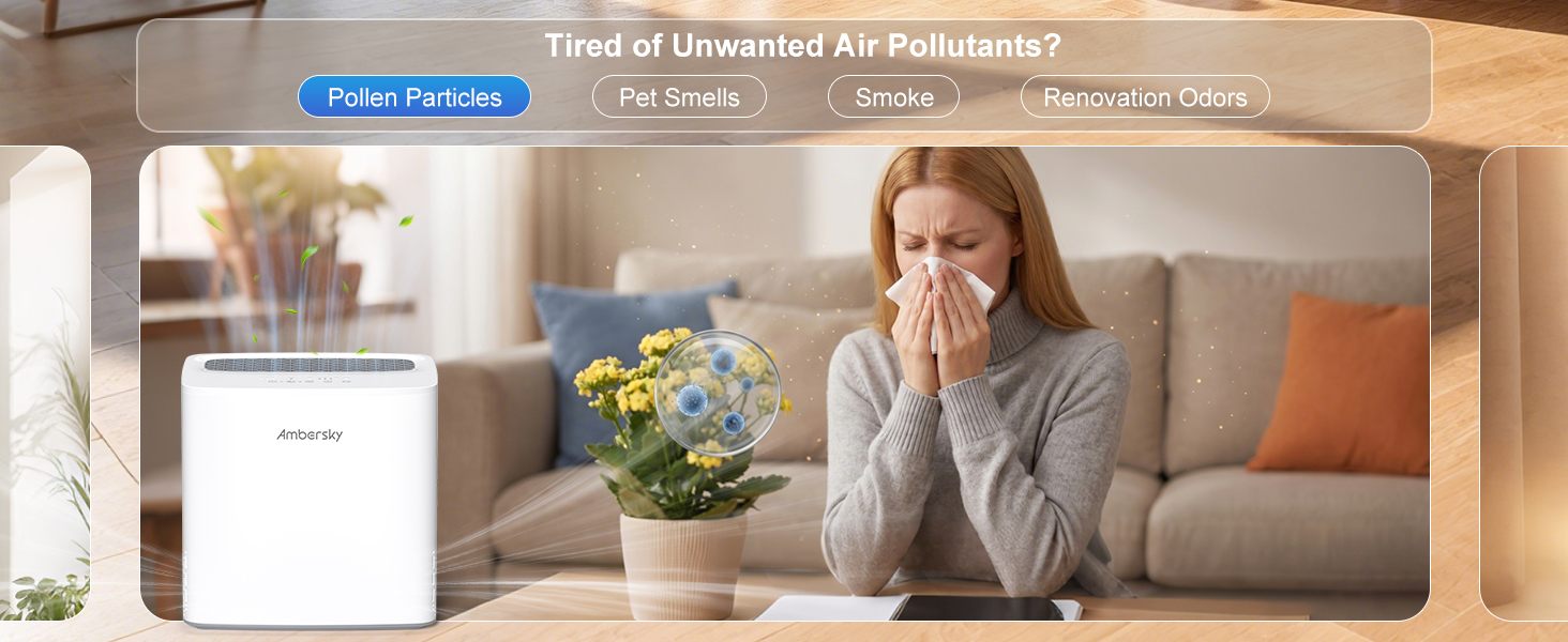 Pollen Particles Air Purifier