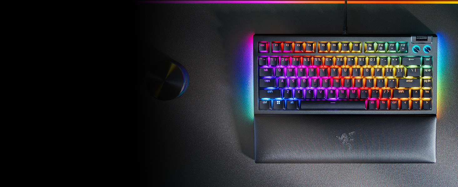 Razer BlackWidow V4 75%