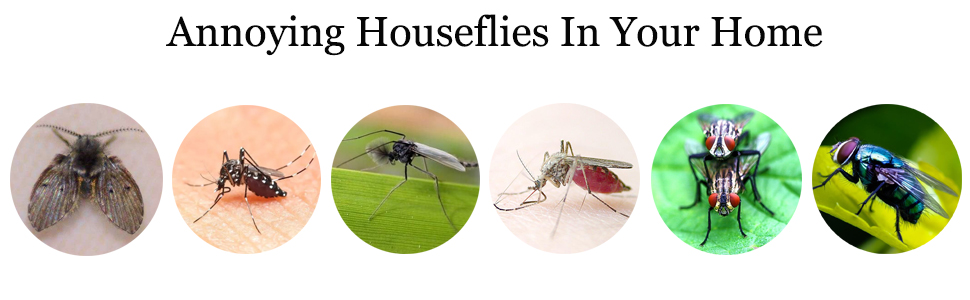 tennis racket bug zapper