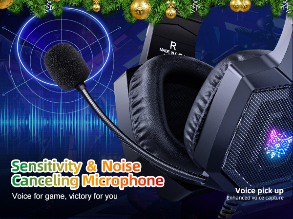 Canceling Microphone