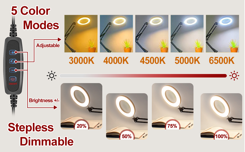 Magnifying desk lamp