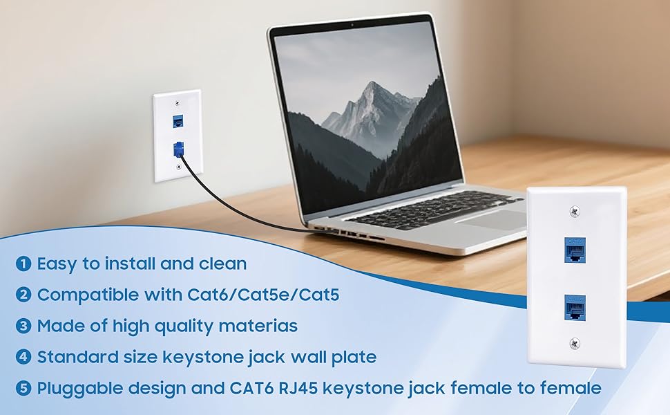 CAT6 wall plate