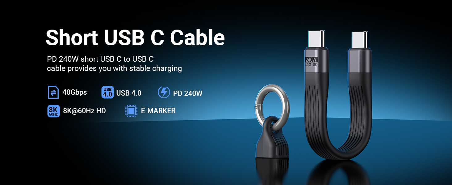 short usb c cable