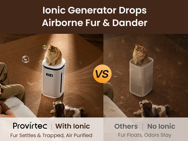 air purifier for allergies