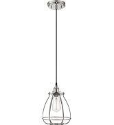 Nuvo Lighting 60/5401 Vintage Incandescent One Light Pendant Closed Cage Narrow Opening Polished ...
