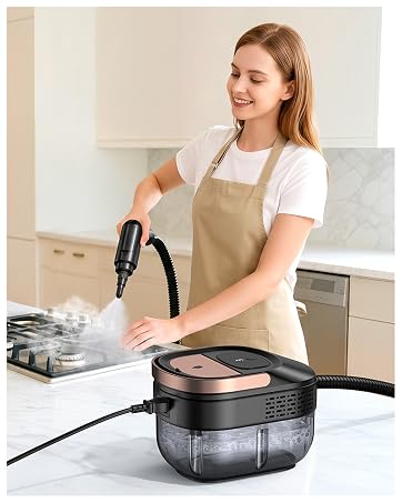 Steam Cleaner