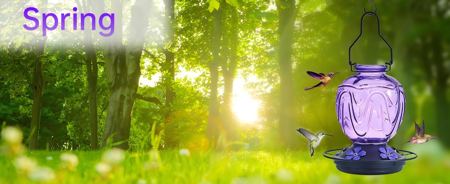 hummingbird feeders for outdoors