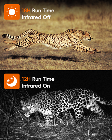 night vision goggles