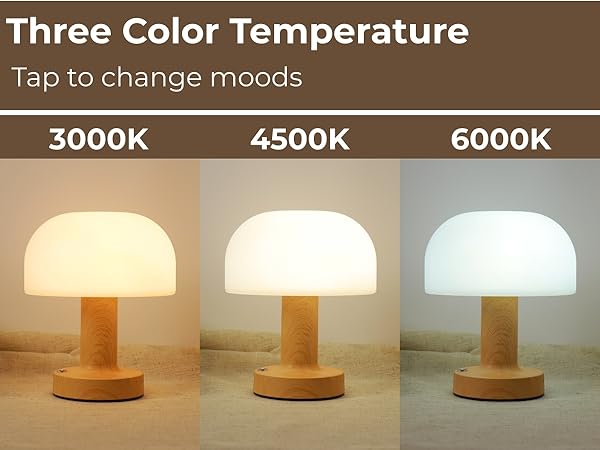 small mushroom LED table lamp rechargeable and cordless